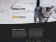 animal-shelter-home-page-116x87.jpg